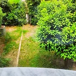 Apartment Alex House Garden *