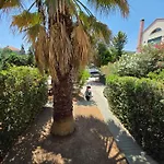 Alex House Garden