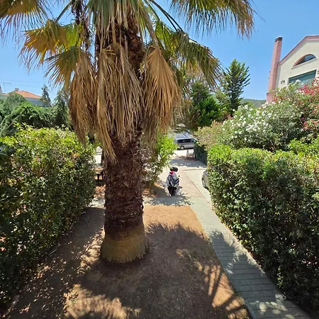 Alex House Garden